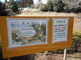 DSCN4923