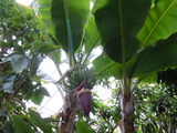 DSCN8630