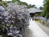 DSCN0556