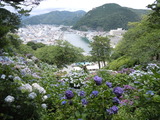 DSCN9677