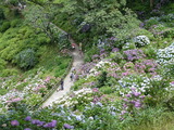 DSCN9679
