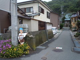 DSCN8693