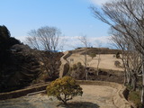 DSCN4941