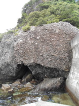DSCN0968