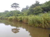 DSCN8980
