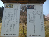 DSCN7515