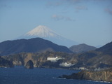 DSCN0931