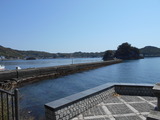 DSCN9882