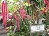 DSCN0914