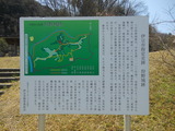 DSCN7517