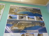 DSCN9773