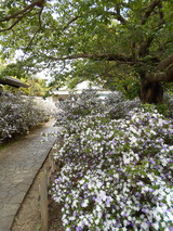 DSCN0564