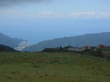 DSCN9771