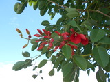 DSCN6063