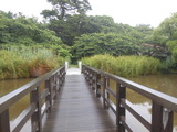 DSCN8979