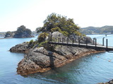 DSCN9910