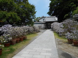 DSCN0566