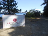 DSCN7182