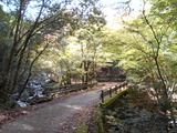 DSCN8008