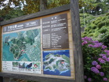 DSCN9621