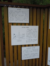 DSCN8885