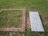 DSCN7153