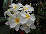DSCN0920