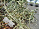 DSCN0903