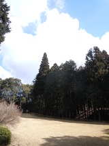 DSCN4948