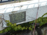 DSCN6102