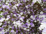 DSCN0557