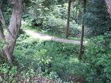 DSCN9676