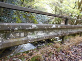 DSCN8011