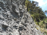 DSCN9668