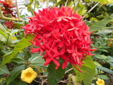 DSCN0918