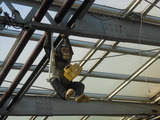 DSCN1067