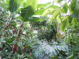 DSCN8631