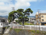 DSCN6101