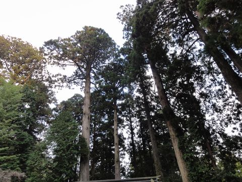 hakone12