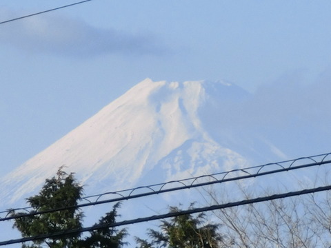 CIMG8673