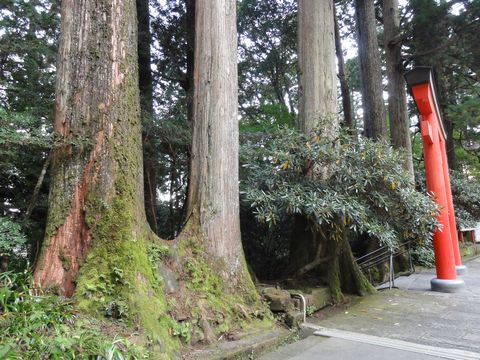 hakone11
