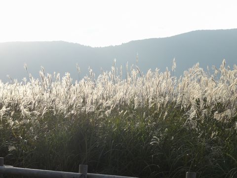 hakone6