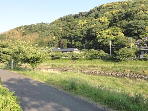 21mitinoekiyunohana9