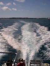 09aac7d9.jpg