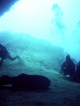 turtle tomb