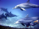 3a9383b6.jpg