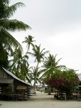 village