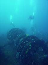 78028faa.JPG