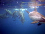 8207997e.jpg