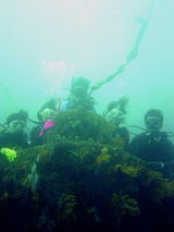 bf271b42.JPG